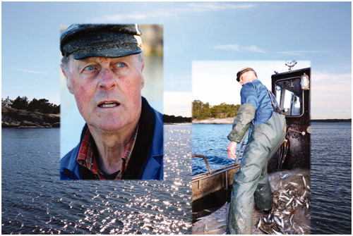 Figure 3. The fisher’s embodied knowledge enable him to scan the horizon and adjust the steering, at the same time as pulling in the fishing nets. Photos: Viveca Mellegård.