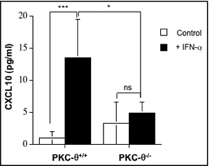 Figure 7. IFNα-induced CXCL10 secretion from NK cells is dependent on PKC-θ. Natural killer (NK) cells were isolated by MACS technology from spleens of wild type (PKC-θ+/+) or protein kinase C-θ knockout (PKC-θ−/−) C57BL/6 mice and cultured in complete medium at 5 × 106 cells/mL in the absence (control) or in the presence (+IFNα) of 100 IU/mL of IFNα for 8 h. After this time, cell culture supernatants were collected and the presence of CXCL10 detected using an ELISA kit. Data are the mean ± SD of 3 different determinations made in duplicate; statistical analyses were performed by Student's t test; *P <0 .05; ***P <0 .01; ns: difference not statistically significant.