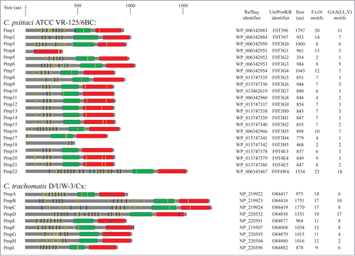 Figure 1. (Continued)