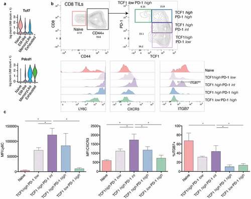 Figure 2. Flow cytometry validation of CD8 TIL populations