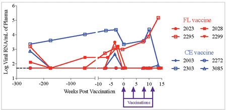 Figure 5. Plasma viral RNA load in SHIV infected macaques. Plasma viral RNA levels before and after vaccination were determined by a nucleic acid sequence-based amplification technique (NASBA) with a limit of detection of 50 copies per 1 mL of plasma.