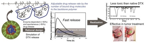 Figure 6 Graphical summary: polymeric micelle incorporating docetaxel (DTX), NC-6301, was rationally designed based on a pharmacokinetic model and proved in animal models to be effective and less toxic than native DTX.