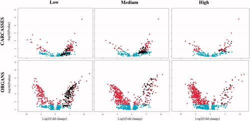 Figure 4. Volcano plot illustrates significantly differentially proteins following 190 days of exposure to low levels of IR relative to control in carcasses (top row) and organs (bottom row) for low: 2.25 mGy/day, medium: 21.01 mGy/day, and high: 204.3 mGy/day. The − log10 (p-value) is plotted against the log2 (fold change: irradiated sample/control sample). Data points in gray denote proteins with insignificant fold changes (<2), while proteins with a fold change >2 but not statistically different from the control are in cyan. Proteins with log2 Fold change that is statistically different from the control samples are highlighted in red. Data points in black represent unique proteins.