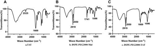 Figure 1 Infrared spectra of (A)TAT and (B)DSPE-PEG2000-Mal before TAT reaction, (C)DSPE-PEG2000-TAT after TAT reaction.