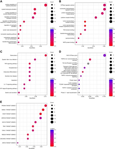 Figure 2. Gene set enrichment analyses on the genes annotated to significant differentially methylated regions in the longitudinal analysis performed between T0 and T12, in patients who underwent EMDR. Top 10 enriched gene set for (A) GO BP and (B) GO MF. Top 10 enriched pathways for (C) KEGG and (D) Reactome. Top 10 enriched Transcription Factor Target gene set defined by the MSigDB (collection C3: regulatory target gene sets, GTRD subset)