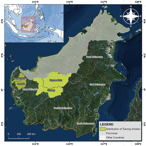 Figure 1. The distribution area of Tukong chicken.