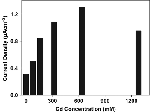 Figure 5. Effect of Cd+2 concentration on O2•−  production in tomato plants after 24 hours treatment.