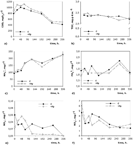 Figure 2. Dynamics of the nutrient transformation in the C and in the +Hg water/sediment system.