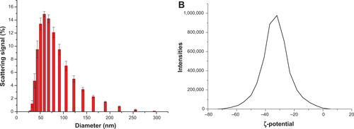 Figure S9 Log-normal size distribution by dynamic light scattering (A) and analysis of zeta potential of Fe3O4-1-PNPs-hEGFR (B).Abbreviations: hEGFR, human epidermal growth factor; PNPs, polymeric nanoparticles.