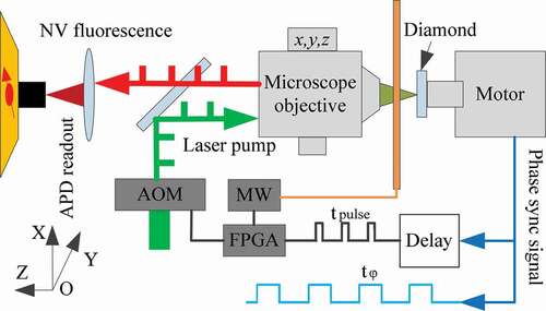 Figure 4. Principle of the rotating test bench. A single NV center in diamond on the spindle of a rotor. NV centers are optically prepared and addressed by a scanning confocal microscope. MW (produced by the micro coil), magnetic field, and laser are coupled to the NV center. The fluorescence signal is collected by the detector, which contains the angular velocity information [Citation22].