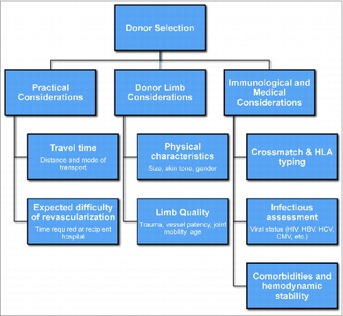 Figure 2. Chart outlining practical, donor limb specific, and immunological/medical considerations in proper donor selection.