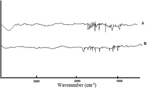 Figure 5. FTIR analysis of pure GC (A) and NGCSD-F6 (B).