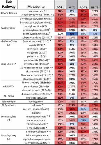 Figure 2. Heatmaps, with numeric data for significantly altered metabolites. Values expressed as a percentage of resting level. Red = increase, blue = decrease from baseline. Significant changes in bold. A) FA metabolites in response to AC and RE. Substantially more elevation in FA metabolism in response to AC was seen at both time points. Additionally, FA metabolites showing a response at RE-T1 tended to be markers of distressed or inadequate mitochondrial FA processing (malonate and most dicarboxylate- and monohydroxy-FA’s). A split in PUFA metabolism between n3 and n6 metabolites following exercise was evident. FA metabolites with antioxidant properties (3-methyladipate and 16-hydroxypalmitate) were greater in AC > RE. Values in bold are significantly different across exercises at that time point. B) Heat map of TCAC intermediates & β-citrylglutamate levels immediately (T1) and 1-hour (T2) post-exercise. Values expressed as a % of resting level at each time point. C) Fatty-acylcholines & phospholipids significantly (p < 0.05, q < 0.1) altered > 2-fold. Values expressed as % of resting level at each time point. Significant changes are shaded blue -darker = greater magnitude of change. AC = aerobic exercise; RE = anaerobic exercise; T1 = immediate post = exercise; T2 = 60-minutes post-exercise. Bold indicates a significant change from baseline, p < 0.05 & q < 0.1. D) Outline of major metabolic pathways activated by exercise. AC elicited greater lipid metabolism due to greater FA substrate selection and a metabolomic profile indicating more membrane turnover and downstream lipid mediator signaling. RE elicited greater anaerobic glycolysis and purine salvage due to a greater demand on rate of energy production. This highlights the fundamental difference between AC and RE as volume- versus intensity-dependent stressors, respectively.