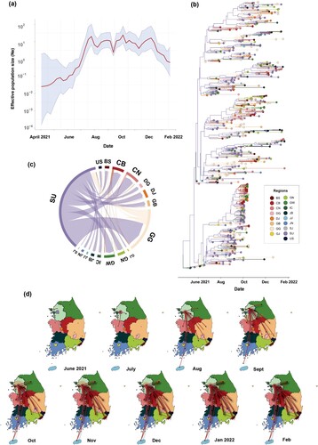 Figure 3. Effective population size of AY.69 from May 2021 to January 2022 and phylogeography analysis in South Korea. (a) Bayesian skyline plot of effective population size of AY.69. X-axis, time in months; y-axis, logarithmic effective population size. Red line, median; blue shaded area, 95% highest posterior density. (b) Phylogenetic tree of AY.69 depicting maximum clade credibility summary of Bayesian inference. (c) Chord diagram of between-region transmission events. Chords distant from the edge represent influxes. Chord width indicates the number of flows. (d) Several captured animations of viral-spread routes and magnitudes in SpreaD3 of Supplementary Video 1. Colours indicate regions. BS, Busan; CB, Chungbuk; CN, Chungnam; DG, Daegu; DJ, Daejeon; GB, Gyeongbuk; GN, Gyeongnam; GG, Gyeonggi; GW, Gangwon; IC, Incheon; JJ, Jeju; JN, Jeonnam; SJ, Sejong; SU, Seoul; US, Ulsan. Ne, effective population size.