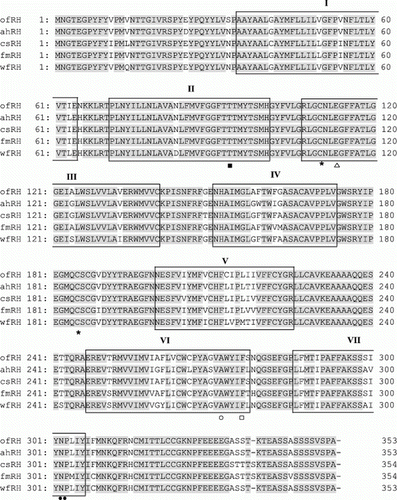 Figure 1.  Alignment of the amino acid sequences of olive flounder RH isolated in this study with those from the GenBank/EMBL/DDBJ databases. The GenBank accession numbers for the sequences used in the alignment are as follows: olive flounder (ofRH, HQ413772), Atlantic halibut (ahRH, AAM17918), common sole (csRH, CAA77254), flathead mullet (fmRH, CAA77250) and winter flounder (wfRH, AAT72123). The seven transmembrane domains are indicated by boxes. Amino acid residues involved in Schiff base formation (Phe, □) and their counterions (Thr, ▪), those involved in disulphide bond formation (Cys, *), those involved in glycosylation (glutamate residue; Gly, Δ) and those involved in palmitoylation (Asn and Pro, •) are indicated. Amino acids involved in the spectral tuning of rhodopsin are also indicated (Ala, ○).