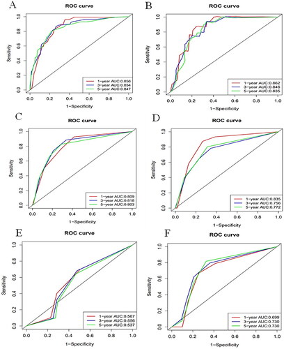Figure 3. Nomogram, AJCC stage and FIGO stage ROC curves for 1-, 3- and 5-year OS (A, C, E) in development cohort and (B, D, F) validation cohort, respectively. ROC, receiver operator characteristic.