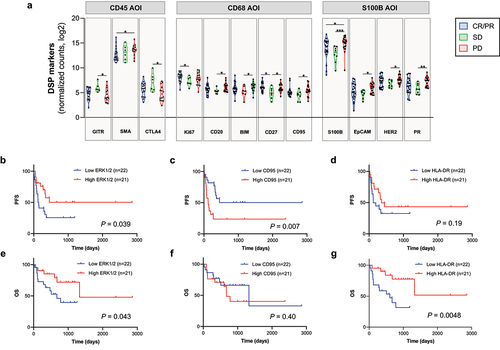Figure 2. Candidate predictive markers to immunotherapy in the discovery cohort by DSP. A) Violin plot showing RECIST groups (CR/PR: complete response/partial response, SD: stable disease, PD: progression disease) for specific DSP markers in the corresponding compartments (CD45, CD68, S100B). *: P < 0.05; **: P < 0.01; ***: P < 0.001. Kaplan–Meier curves showing progression-free survival (PFS) (B–D) and overall survival (OS) (E–G) for DSP markers in CD68 compartment using the median as cutoff point. Survival analysis by log-rank (Mantel–Cox) test was performed and results were included in table 1 and 2.
