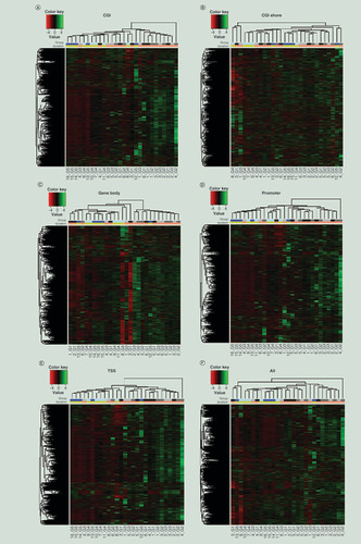 Figure 6.  Methylation profiles at various genomic regions differ based on the duration of storage of the DNA sample (G1–G5).Heat map based on ComBat-adjusted DNA methylation profiles in CGI (A), CGI shore (B), gene body (C), promoter (D), TSS (E), and all genomic regions (F) of G1–G5. Each color in horizontal bars indicates different groups (Top: grey – G1, medium grey – G2, light grey – G3, light blue – G4, blue – G5) and storage durations and (Bottom: yellow – recent and pink – archived).CGI: Cytosine-phosphate-guanine island, TSS: Transcription start site.