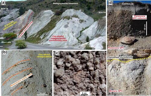Figure 3. Outcrop features of basal Miocene QPCs and underlying basement. A, General view of historically sluiced basement unconformity zone beneath the St Bathans paleovalley at Blue Lake. The unconformity dips towards the lake (lower left, as in Figure 2B) and remnants of QPC remain on the clay-rich unconformity zone. B, Outcrop of friable clay-altered metagreywacke, as in a, with minor cross-cutting quartz veins (orientations indicated with dashed lines). C, Basal QPC with abundant rounded quartz pebbles recycled from Eocene Hogburn Formation. D, Outcrop of basal Miocene QPC at Garibaldi historic mine site (Figure 1B; recycled from Eocene QPC), with recycled overlying Pleistocene QPC.