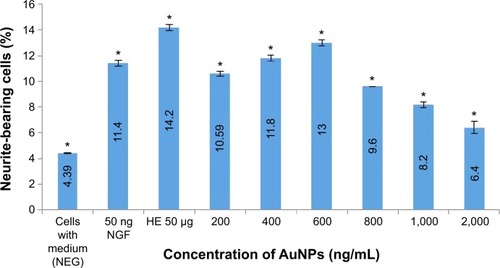 Figure 7 Effects of AuNPs mycosynthesized by HAE of H. erinaceus on the neurite outgrowth on PC-12 cells.Notes: The percentage of neurite-bearing cells of PC-12 cells treated with various concentrations of AuNPs ranged from 200 to 2,000 ng/mL. Cells in complete F-12 K medium without AuNPs served as a negative control. Cells treated with 50 ng/mL of NGF or 50 μg/mL extract of aqueous extract of H. erinaceus served as positive controls. Data were expressed as means ± standard deviation of three experiments. *Significant difference (P<0.05).Abbreviations: AuNPs, gold nanoparticles; NGF, nerve growth factor; NEG, negative control; H. erinaceus, Hericium erinaceus; HAE, hot aqueous extract.