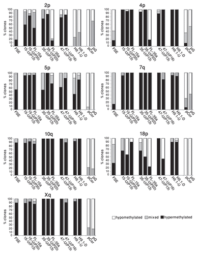 Figure 5 Subtelomeric regions undergo both de novo methylation and demethylation during the process of hiPS cell generation. The individual bisulfite-analyzed clones were categorized according to the following criteria: hypermethylated (black blocks)-at least 80% of the CpG sites are methylated, hypomethylated (white blocks)-at least 80% of the CpG sites are not methylated, mixed (gray blocks)-between 20–80% of CpG sites are methylated. For each cell type, the percentage of individual clones that belong to each of the three categories appears in the bar graph, amounting together to 100%.