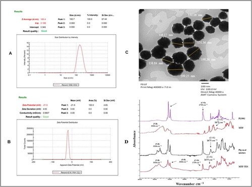 Figure 3. (A) MPSD and PDI of MTF-TES TE7 (optimized formulation). (B) Zeta potential of MTF-TES TE7 (optimized formulation). (C) TEM micrograph of MTF-TES TE7 (optimized formulation). (D) FTIR of MTF-TES TE7 (optimized formulation).