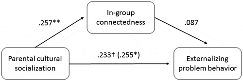 Figure 2. Path model of the association between parental cultural socialization and externalizing problem behaviour mediated by in-group connectedness for Moroccan-Dutch youth.Notes: The total effect is shown between brackets. ***p < .001; **p < .01; †p < .10; gender had a significant association with externalizing problem behaviour (b = .28; SE = .06; p < .001).