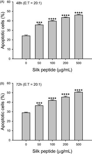 Figure 4. Cytolytic activity of ex vivo silk peptide-treated mouse splenocytes on YAC-1 target cells. Splenocytes were treated with the indicated silk peptide concentrations for (A) 48 h and (B) 72 h, and incubated with PKH-26-labeled YAC-1 target cells at an effector-to-target ratio of 20:1. The degree of target cell lysis was measured as described in the Materials and methods. Data are presented as means ± SD of triplicates. A representative result of at least three independent experiments is shown. Asterisks (*) indicate significant differences compared with control (***p < 0.001, ****p < 0.0001).