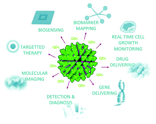 Figure 2. Applications of QDs in chemical, biomedical and diagnostic area. QDs (the large green crystal) can be applied for biosensing, biomarker mapping, real time cell growth monitoring, drug delivering, gene delivering, detection and diagnostics, molecular imaging, and targeted therapy.