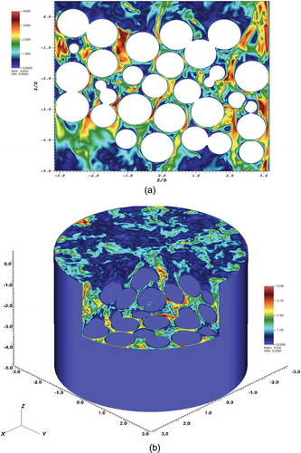 Fig. 13. Simulation results for the TAMU experiment, velocity magnitude: (a) cross section at y = 1.0 and (b) 3-D contour plot