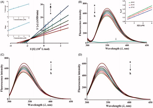 Figure 3. (A) Lineweaver–Burk plots. c(7u) = 0.5, 1, 2, 4 and 8 μM for curves a → e, respectively. The inset was the secondary plots of slope (the upper left) and Y-intercept (the lower left) versus [7u]. (B) Fluorescence spectra of α-glucosidase in the presence of 7 u at various concentrations (pH 6.8, T = 25 °C, λex = 280 nm, λem = 346 nm). c(α-glucosidase) = 2 µM, and c(7u) = 0, 0.5, 1, 2, 3, 4, 5 and 6 µM for curves a → h, respectively. Curve i shows the emission spectrum of 7 u at the concentration of 6 µM. The Stern–Volmer plots for the fluorescence quenching of α-glucosidase by 7 u at different temperatures were inserted. (C) T = 31 °C. (D) T = 37 °C.