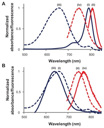 Figure 2 Normalized spectra: (A) IR780 dye before and after modification: (i) absorbance (IR780); (ii) fluorescence (IR780); (iii) absorbance (modified IR780); (iv) fluorescence (modified IR780). (B) Absorbance (iii) and fluorescence (iv) of modified IR780 dye after encapsulation in mesoporous silica nanoparticles.Notes: Absorbance (i) and fluorescence (ii) of modified IR780 is also shown for comparison.