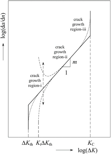 Figure 7. Anomalous short crack growth at notches.