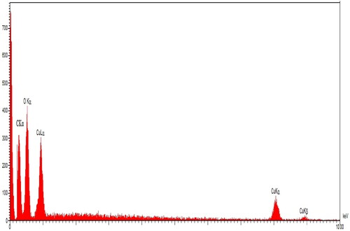 Figure 2. EDS analysis of CuNPs.