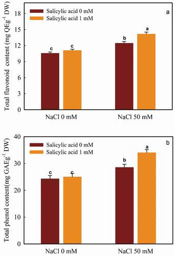 Figure 3. The interaction of salicylic acid and NaCl on TFC (A) and TPC (B) in guava seedlings. Means ± SD of six replicates are given. The same letters indicate no statistically significant difference (Tukey, p < .01)