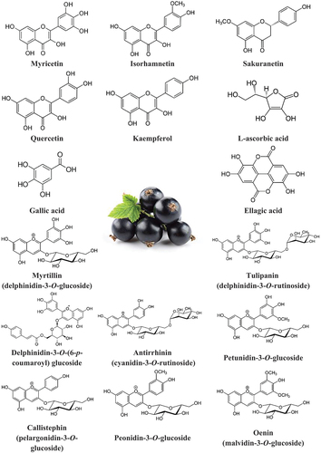 Figure 1. Chemical structures of phytonutrients present in blackcurrant fruit. The components of this figure are not associated with any copyrights (public domain).