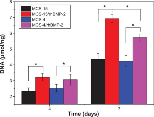 Figure 12 ALP activity of hMSCs cultured on MCS-15/rhBMP-2 and MCS-4/rhBMP-2 at 4 and 7 days (MCS-15 and MCS-4 without loaded rhBMP-2 as controls).Note: *P<0.05.Abbreviations: ALP, alkaline phosphatase; DNA, deoxyribonucleic acid; hMSCs, human mesenchymal stem cells; MCS, mesoporous calcium–silicon; rhBMP, recombinant human bone morphogenetic protein.