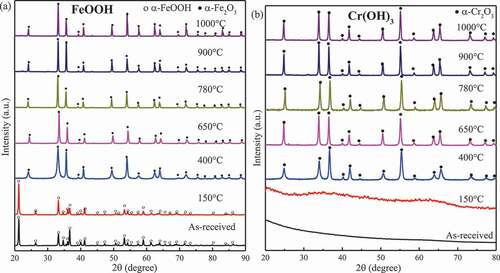 Figure 3. XRD patterns for (a) FeOOH and (b) Cr(OH)3 exposed to air at different temperatures for 24 h.