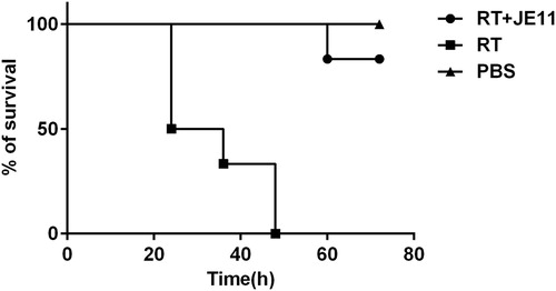 Figure 6. The antibody showed an 83% protection against injection of 2 × LD50 RT dose mice within 72 h.