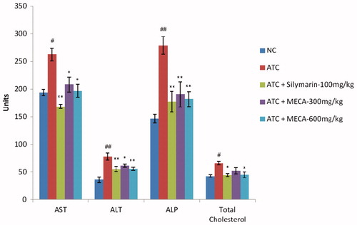 Figure 5. Effect of methanol extract of Cassia auriculata (MECA) roots on serum AST, ALT, ALP and total cholesterol in antitubercular drug-induced hepatotoxic rats. N = 6; Values are mean ± SEM. NC: normal control, ATC: antitubercular combination control; AST: aspartate transaminase, ALT: alanine transaminase, ALP: alkaline phosphatase, #p < 0.05, ##p < 0.01 as compared to normal control group. *p < 0.05, **p < 0.01 as compared to antitubercular combination control group. Data analyzed by one-way ANOVA followed by Dunnet’s multiple test for comparison.