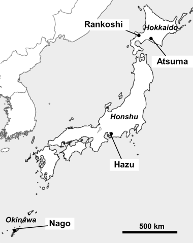 Figure 1  Location of the sampling sites of the rhizosphere soils of Miscanthus sinensis grown on acid sulfate soil (Rankoshi, Hazu, Nago) and sandy soil (Atsuma) in Japan.