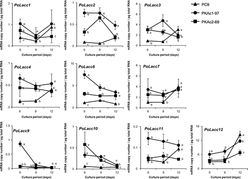 Fig. 5. Time course studies of Lacc isozyme gene transcript levels.