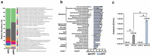 Figure 1. (a) Relative abundance at family level of taxonomy of GIFU and pGIFU microbiota. (b) Metagenome functional prediction by PICRUSt analysis at levels 1, 2 and 3 of KEGG pathways. Histogram bars indicate means of Log2(Level 3 pathway abundance) ± SEM clustered by level 2 (detailed in Supplement A), * p < .05; ** p < .01, *** p < .001, and **** p < .0001. (c) Endotoxin levels of different test media: fresh media GIFU and pGIFU, as well as spent media GIFU-S and pGIFU-S. * p < .05.