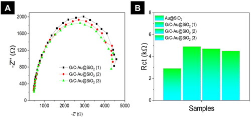 Figure 6. Electrochemical properties investigation of Au@SiO2 and G/C-Au@SiO2 HNPs. A) Electrochemical impedance spectra (EIS) acquired from Nyquist plot for G/C-Au@SiO2 HNPs. B) Charge transfer resistance (Rct) measurement to evaluate conductivity of Au@SiO2 and G/C-Au@SiO2 HNPs.