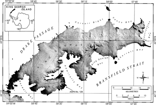 Figure 1 Map of King George Island (after CitationBraun et al., 2001, modified) showing the location of the Polish Antarctic Station “Arctowski” (flag) and the ASPA (Antarctic Specially Protected Area) no. 128 (formerly the Site of Special Scientific Interest SSSI no. 8). Insert shows position of the island in the Antarctic.