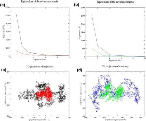 Figure 9. (Colour online) Principal component analysis of NLRC4 during the last 35 ns of simulation. (a) The plot of eigenvalues vs. eigenvector index for the first ten eigenvectors of wild-type and mutant structure in the resting state. Black denotes wild-type structure and red denotes mutant structure in the resting state. (b) Plot of eigenvalues vs. eigenvector index for the first ten eigenvectors of wild-type and mutant structure in the activated state. Blue denotes wild-type structure and green denotes mutant structure in the activated state. (c) 2D projection of the motion for wild-type and mutant structure in resting state. (d) 2D projection of the motion for wild-type and mutant structure in the activated state. In both states, both mutant structures (RM and AM) occupied a smaller region of phase space than the wild-type structures (RW and AW), indicating a decrease in the overall flexibility of mutant structures in the last 35 ns of simulations.