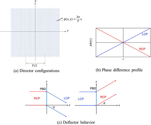 Figure 15. Pancharatnam–Berry deflector (PBD).