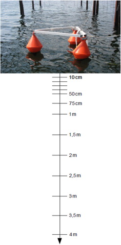 Fig. 1 Device for measuring the temperature profile. The picture shows the device structure and the measurement depths from 10 cm to 4 m are indicated below.
