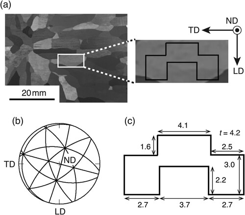 Figure 1. Single-crystal specimen used in the present study obtained from a cast of an Fe–3mass%Al alloy with a coarse-grained microstructure: (a) shape, (b) orientation shown by stereographic projection (SGP) and (c) dimensions of the specimen. In (c), the unit is mm and t indicates the thickness.