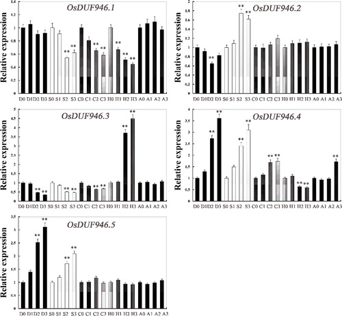 Figure 4. Relative expression levels of OsDUF946 genes in Nipponbare rice seedlings at the emergence of the fourth leaf under various stress conditions and ABA treatment detected by real-time PCR. D, drought; S, salt; C; cold; H, heat; A, ABA.